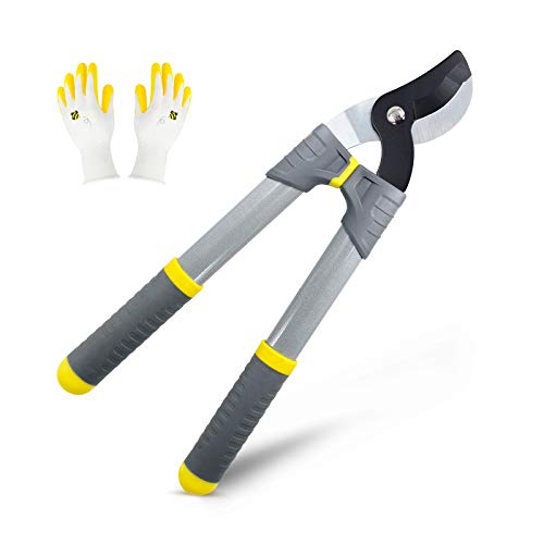 Colwelt Small Bypass Loppers 17Inch Light Duty Bypass Tree Trimmer Lopping Shears with Sharp Carbon Steel Blades Chops Branches with Ease Branch Cutter with 125 Inch Clean Cut Capacity
